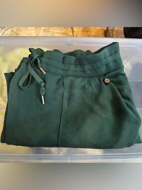 LIVI Active Green Soft Comfy Pants EUC